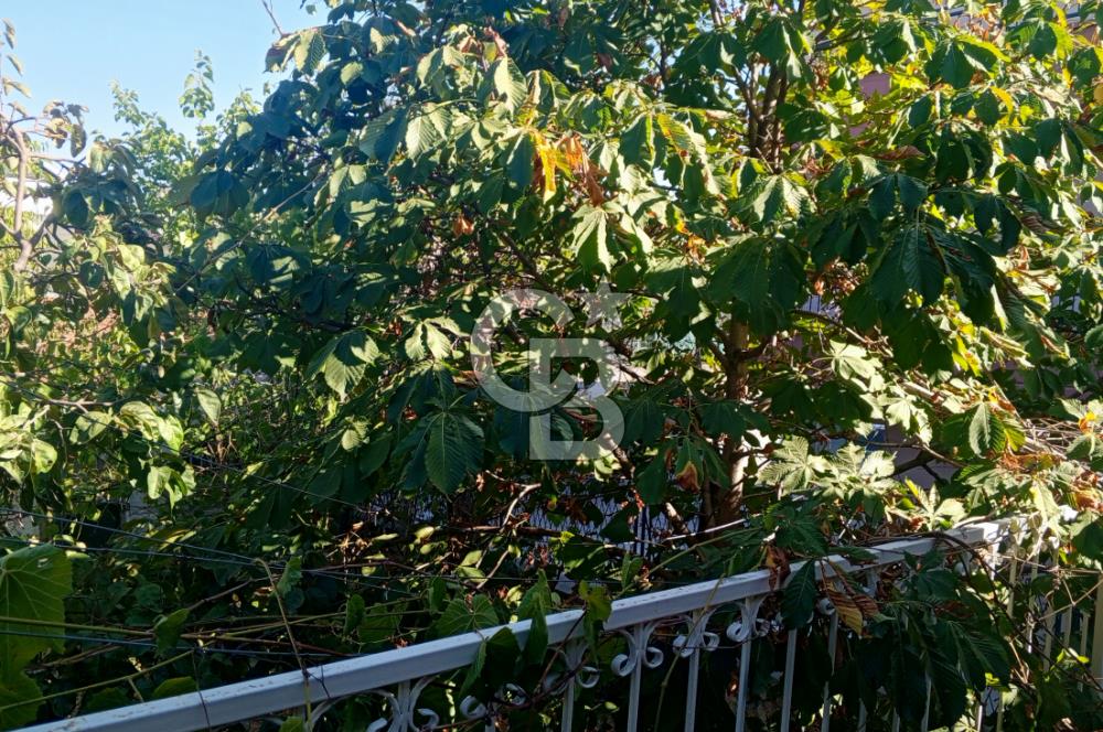 ZİRAAT FAKÜLTESİNE YAKIN 2+1 KİRALIK DAİRE