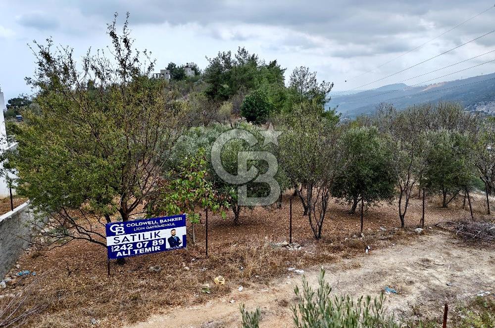 TOROSLAR KAŞLI’DA MANZARALI 540 m² SATILIK KÖŞEBAŞI ARAZİ