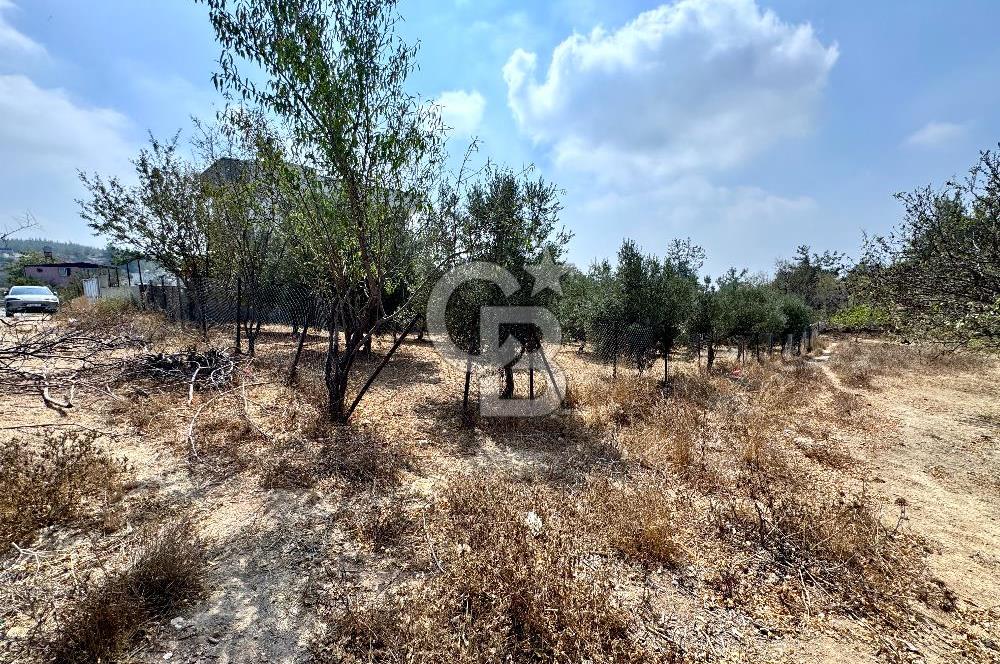 TOROSLAR KAŞLI’DA MANZARALI 540 m² SATILIK KÖŞEBAŞI ARAZİ