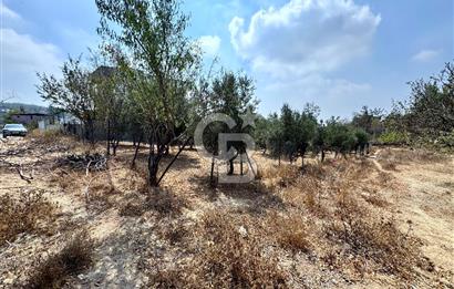 TOROSLAR KAŞLI’DA MANZARALI 540 m² SATILIK KÖŞEBAŞI ARAZİ