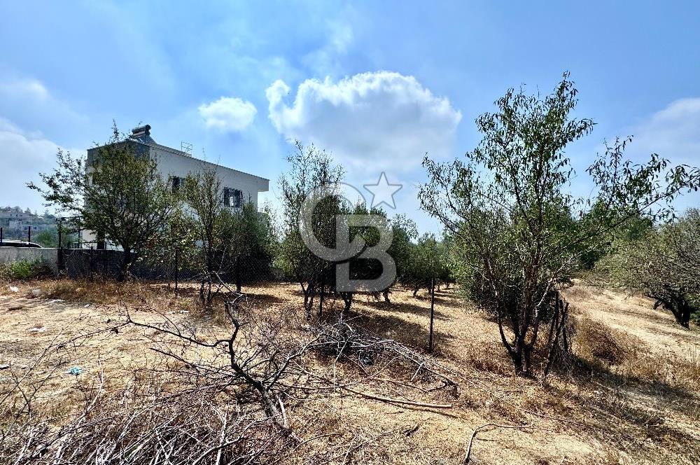 TOROSLAR KAŞLI’DA MANZARALI 540 m² SATILIK KÖŞEBAŞI ARAZİ