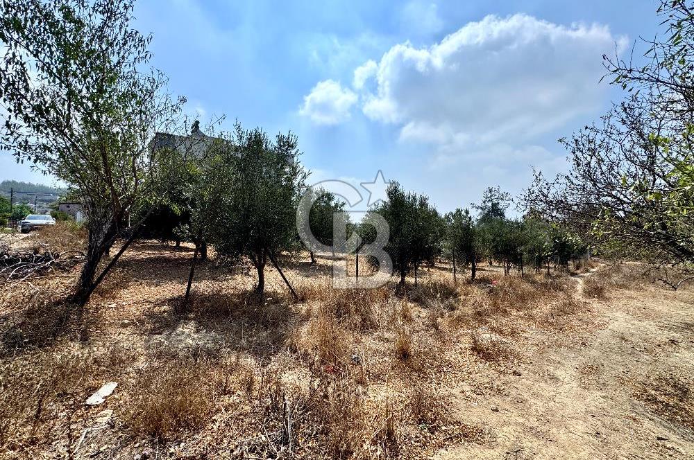 TOROSLAR KAŞLI’DA MANZARALI 540 m² SATILIK KÖŞEBAŞI ARAZİ