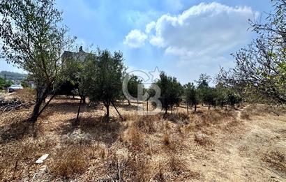 TOROSLAR KAŞLI’DA MANZARALI 540 m² SATILIK KÖŞEBAŞI ARAZİ