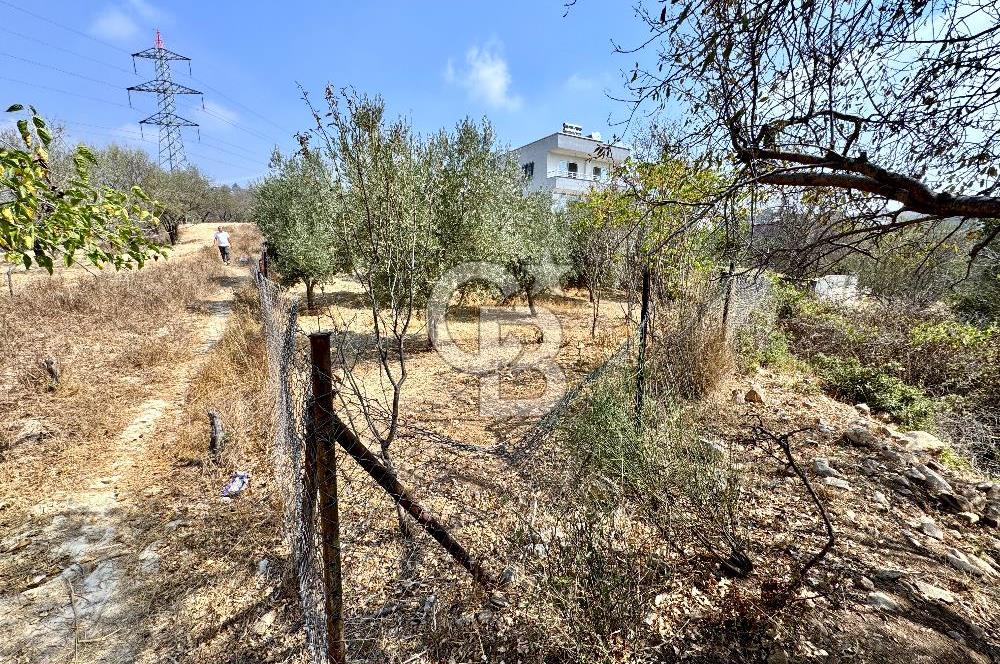 TOROSLAR KAŞLI’DA MANZARALI 540 m² SATILIK KÖŞEBAŞI ARAZİ