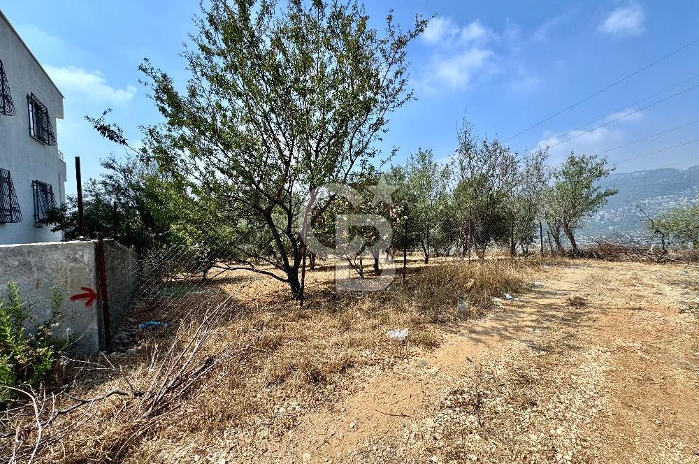 TOROSLAR KAŞLI’DA MANZARALI 540 m² SATILIK KÖŞEBAŞI ARAZİ