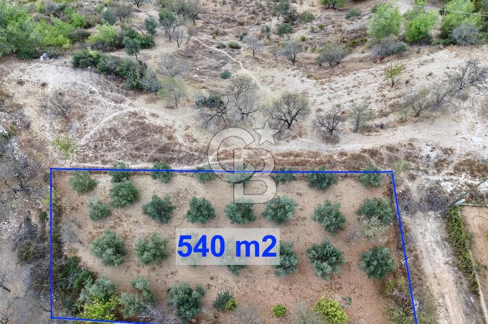 TOROSLAR KAŞLI’DA MANZARALI 540 m² SATILIK KÖŞEBAŞI ARAZİ
