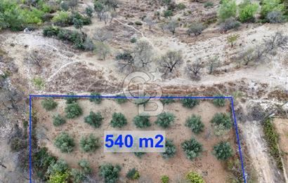 TOROSLAR KAŞLI’DA MANZARALI 540 m² SATILIK KÖŞEBAŞI ARAZİ