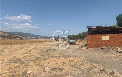 Dikili ismetpaşa da  çamlık 