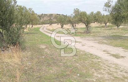 BABAKALE'NİN EŞSİZ DOĞASINDA SATILIK ARSALAR