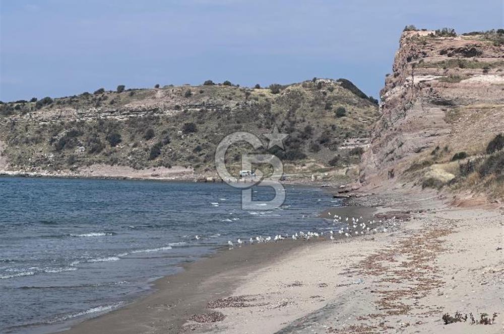 BABAKALE'NİN EŞSİZ DOĞASINDA SATILIK ARSALAR