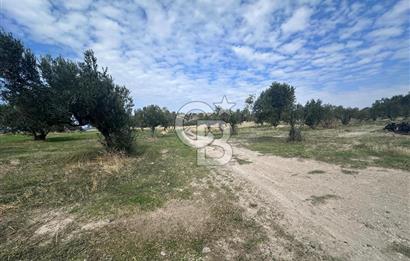 BABAKALE'NİN EŞSİZ DOĞASINDA SATILIK ARSALAR