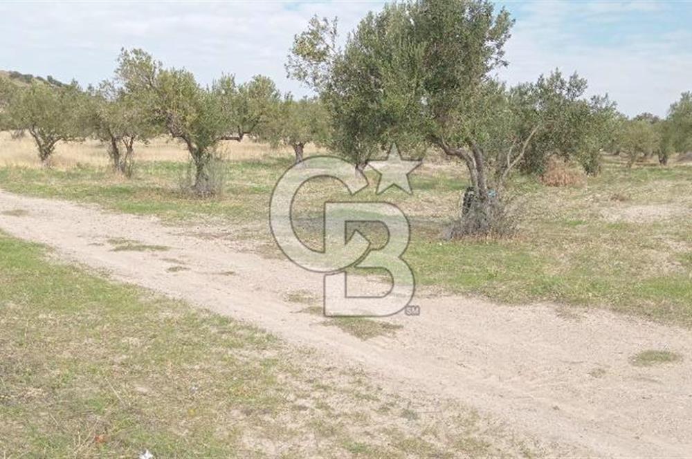 BABAKALE'NİN EŞSİZ DOĞASINDA SATILIK ARSALAR