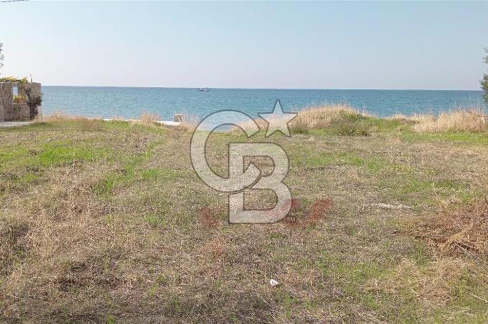 BABAKALE'NİN EŞSİZ DOĞASINDA SATILIK ARSALAR