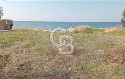 BABAKALE'NİN EŞSİZ DOĞASINDA SATILIK ARSALAR