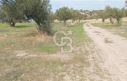 BABAKALE'NİN EŞSİZ DOĞASINDA SATILIK ARSALAR