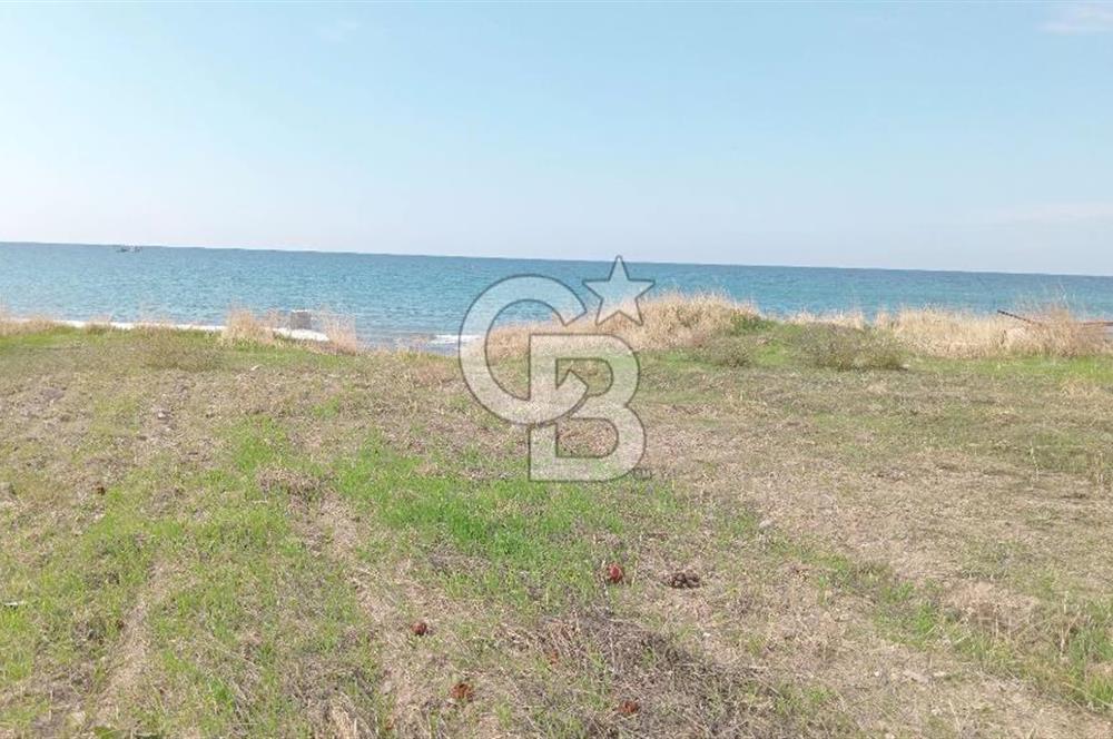 BABAKALE'NİN EŞSİZ DOĞASINDA SATILIK ARSALAR
