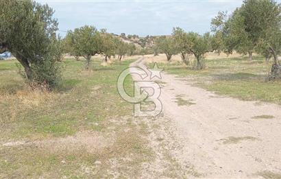 BABAKALE'NİN EŞSİZ DOĞASINDA SATILIK ARSALAR