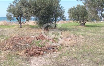 BABAKALE'NİN EŞSİZ DOĞASINDA SATILIK ARSALAR