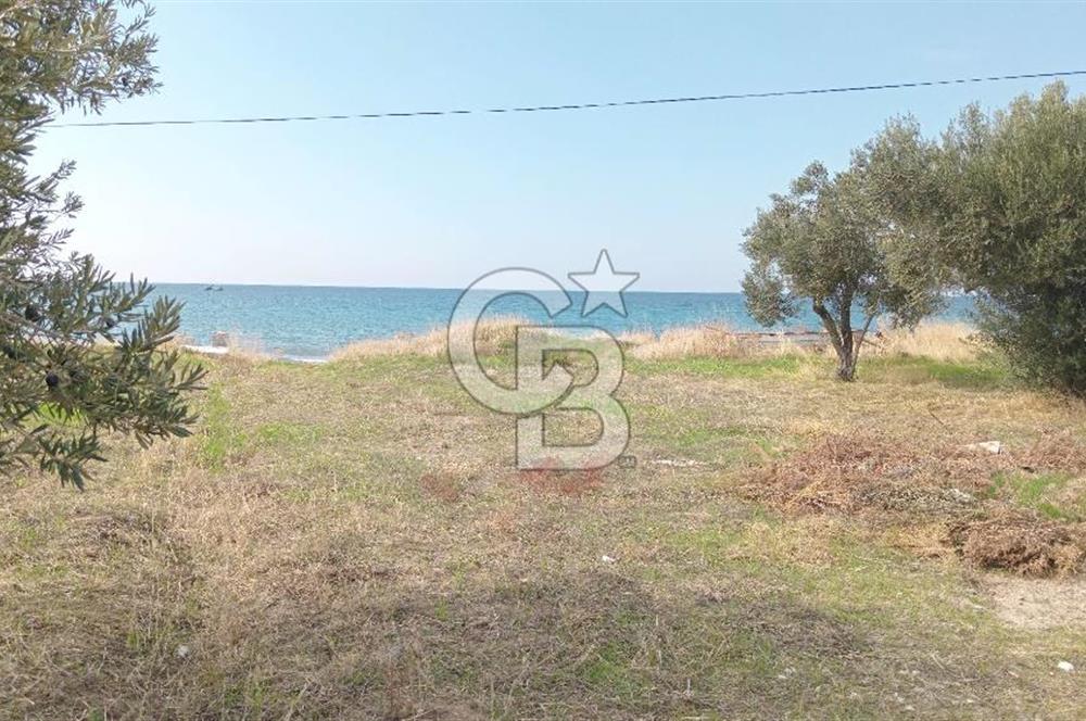 BABAKALE'NİN EŞSİZ DOĞASINDA SATILIK ARSALAR