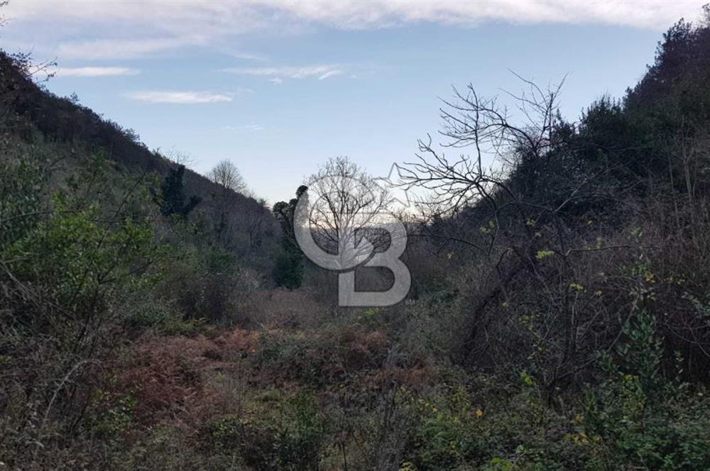 SARIYER 28.652 M2 BOĞAZ MANZARALI ARSAMIZ SATIŞA SUNULDU