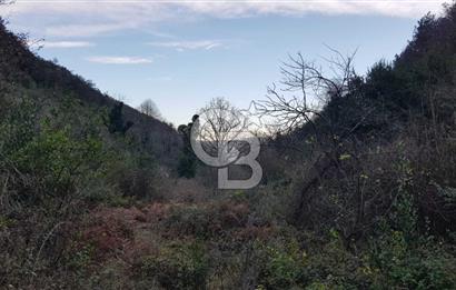 SARIYER 28.652 M2 BOĞAZ MANZARALI ARSAMIZ SATIŞA SUNULDU