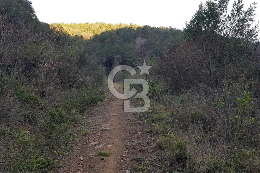 SARIYER 28.652 M2 BOĞAZ MANZARALI ARSAMIZ SATIŞA SUNULDU