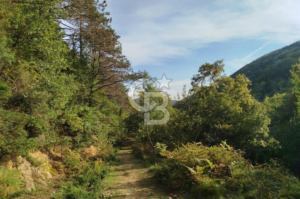 SARIYER 28.652 M2 BOĞAZ MANZARALI ARSAMIZ SATIŞA SUNULDU