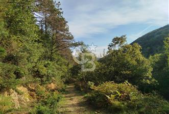 SARIYER 28.652 M2 BOĞAZ MANZARALI ARSAMIZ SATIŞA SUNULDU