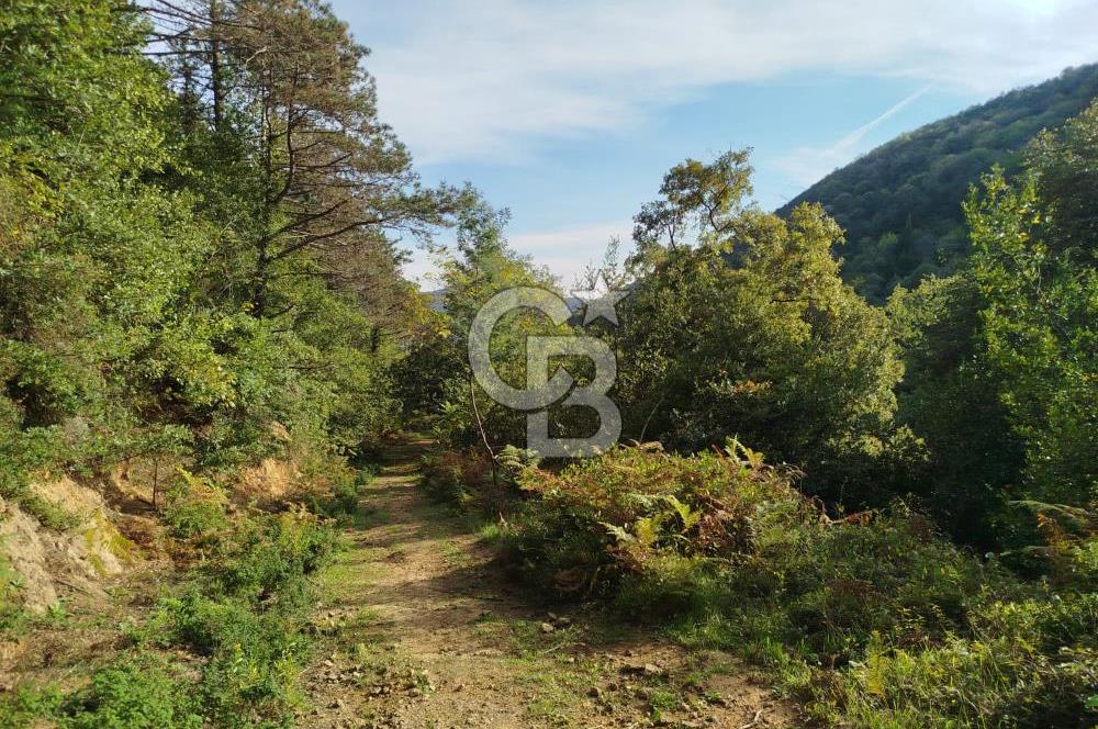 SARIYER 28.652 M2 BOĞAZ MANZARALI ARSAMIZ SATIŞA SUNULDU