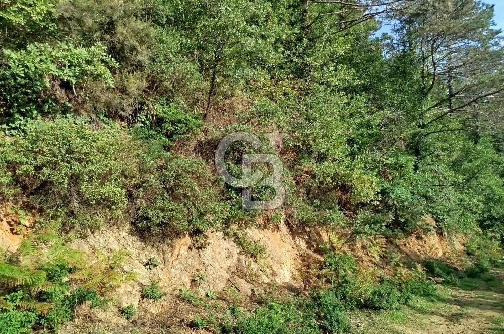 SARIYER 28.652 M2 BOĞAZ MANZARALI ARSAMIZ SATIŞA SUNULDU