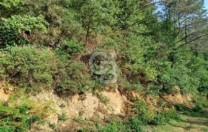 SARIYER 28.652 M2 BOĞAZ MANZARALI ARSAMIZ SATIŞA SUNULDU