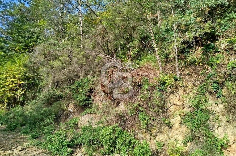 SARIYER 28.652 M2 BOĞAZ MANZARALI ARSAMIZ SATIŞA SUNULDU