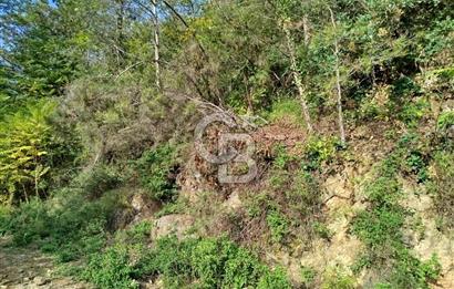 SARIYER 28.652 M2 BOĞAZ MANZARALI ARSAMIZ SATIŞA SUNULDU