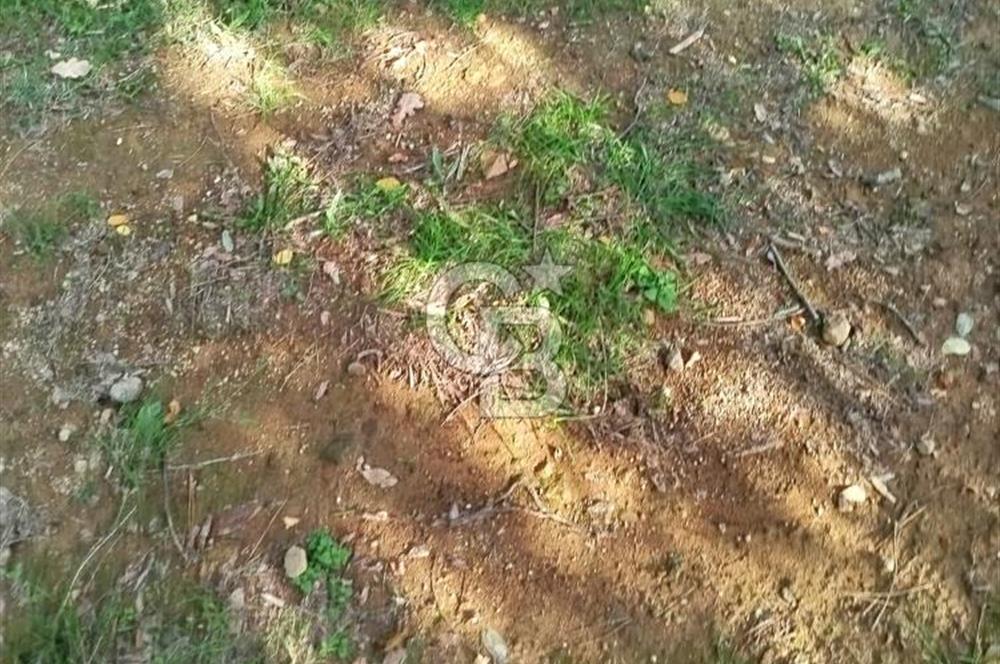 SARIYER 28.652 M2 BOĞAZ MANZARALI ARSAMIZ SATIŞA SUNULDU