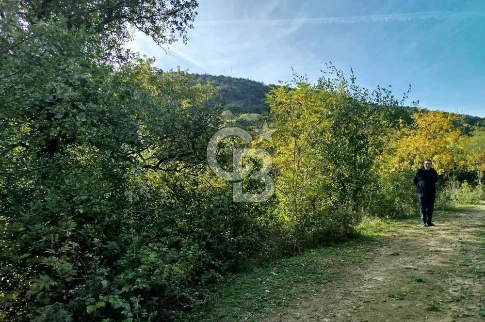 SARIYER 28.652 M2 BOĞAZ MANZARALI ARSAMIZ SATIŞA SUNULDU