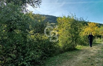 SARIYER 28.652 M2 BOĞAZ MANZARALI ARSAMIZ SATIŞA SUNULDU