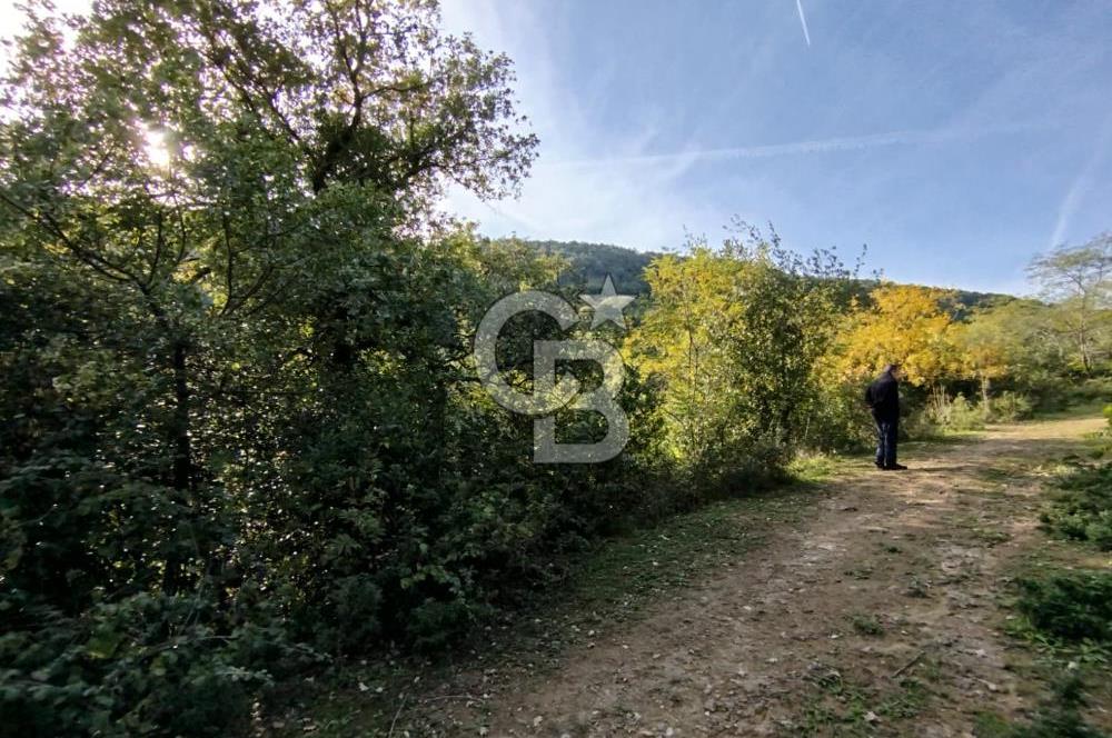 SARIYER 28.652 M2 BOĞAZ MANZARALI ARSAMIZ SATIŞA SUNULDU