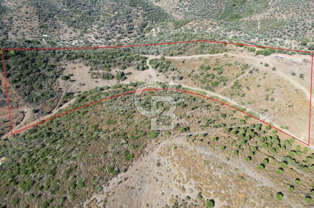 ULAMIŞ'TA 500 m2 ARSA