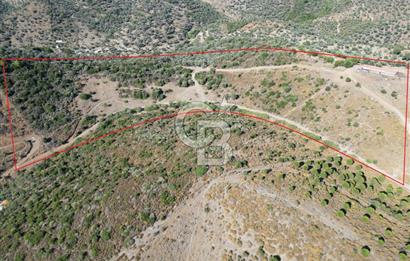 ULAMIŞ'TA 500 m2 ARSA