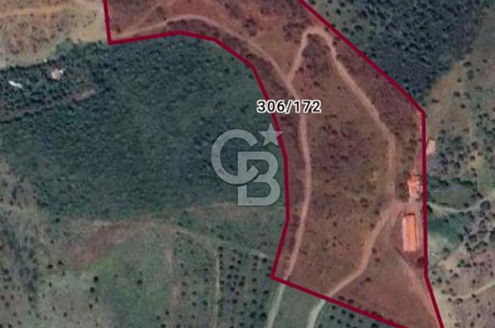ULAMIŞ'TA 500 m2 ARSA