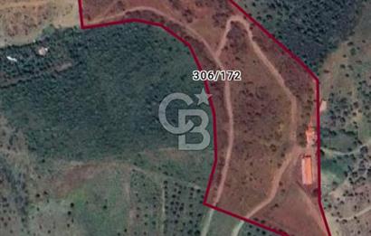 ULAMIŞ'TA 500 m2 ARSA