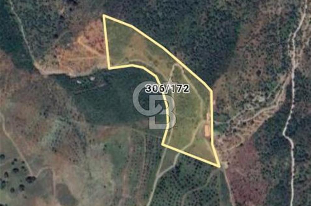 ULAMIŞ'TA 500 m2 ARSA