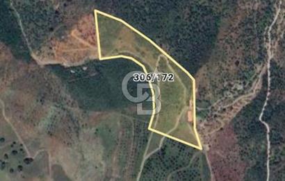 ULAMIŞ'TA 500 m2 ARSA