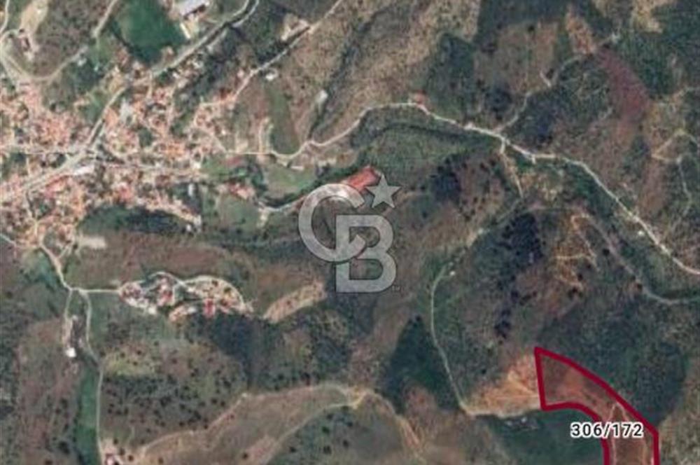 ULAMIŞ'TA 500 m2 ARSA