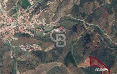 ULAMIŞ'TA 500 m2 ARSA