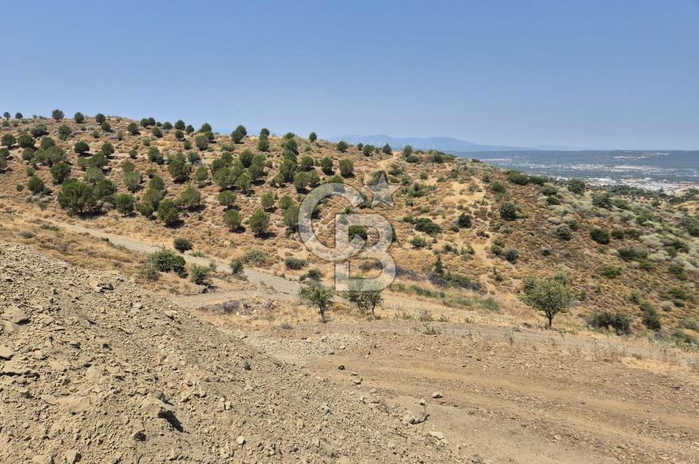 ULAMIŞ'TA 500 m2 ARSA