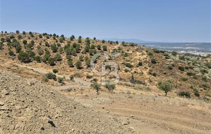 ULAMIŞ'TA 500 m2 ARSA