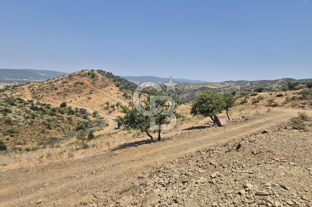 ULAMIŞ'TA 500 m2 ARSA
