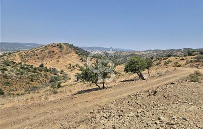 ULAMIŞ'TA 500 m2 ARSA