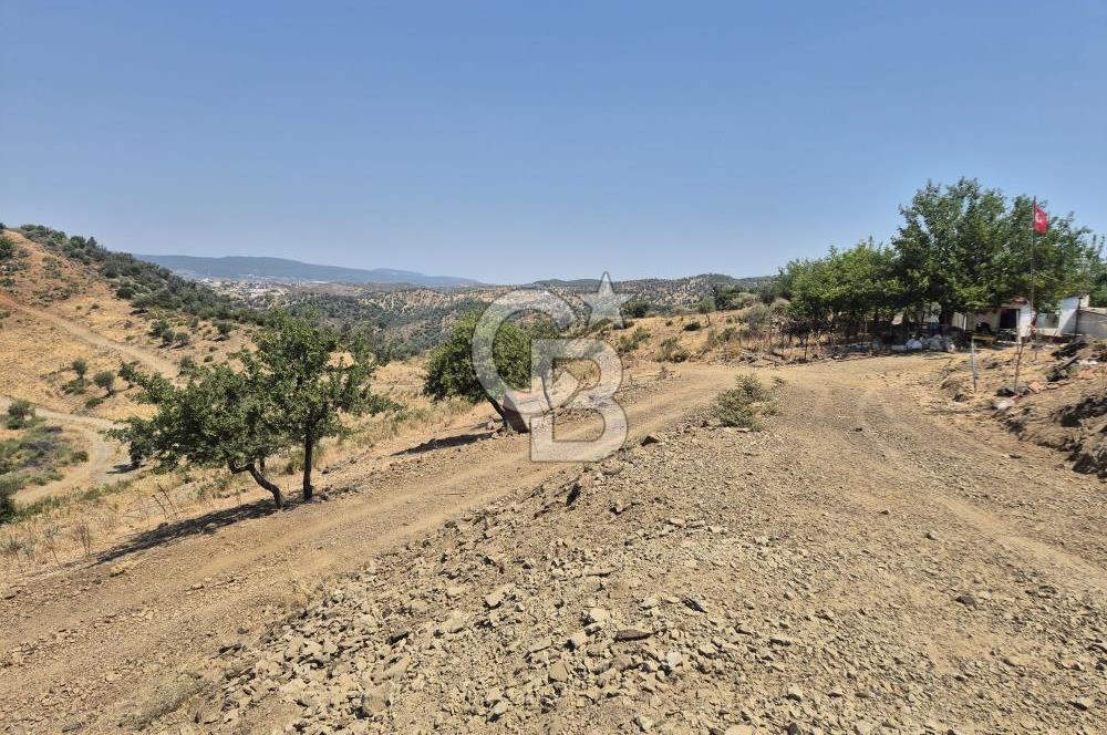 ULAMIŞ'TA 500 m2 ARSA